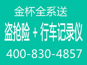 沈阳金杯大海狮直降4万 3年0利息