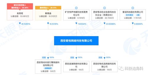 掌阅投资西安君悦网络公司，持股6.6666%深化战略布局