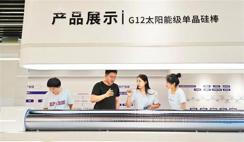 赛罕争先 引领专业的商务信息咨询服务