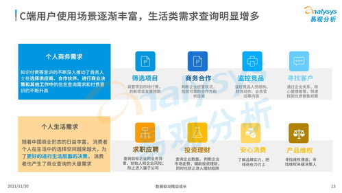 中国商业查询市场分析2021