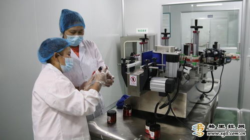 香格里拉市南素商贸产品深加工推动区域经济发展，迪庆频道关注商务信息咨询新动态